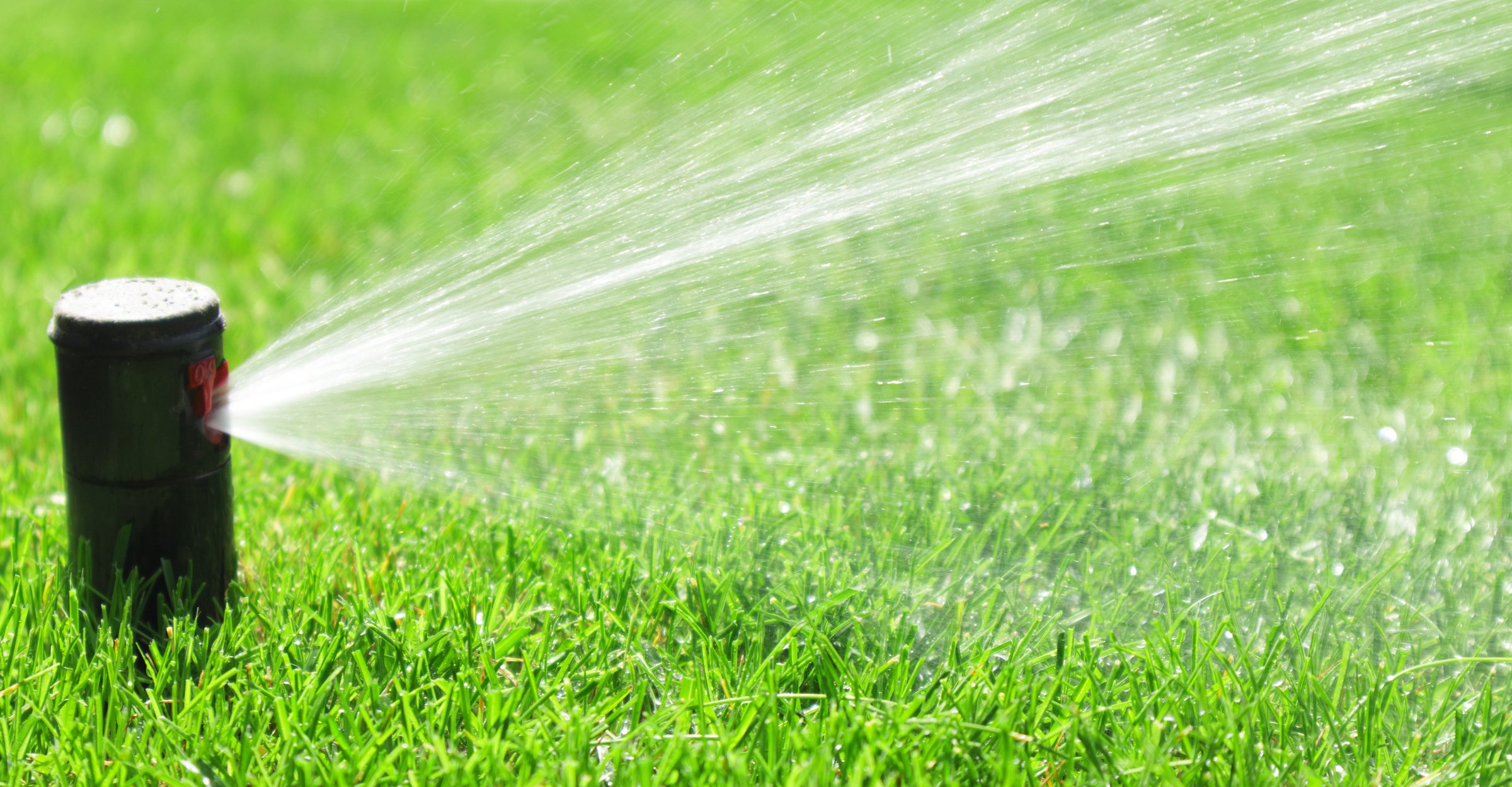 a sprinkler is spraying water on a green lawn